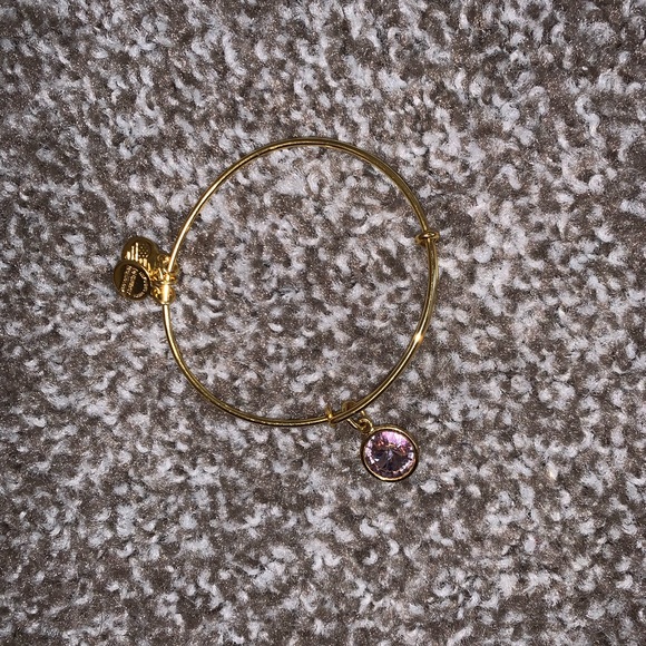 Alex and Ani light amethyst June birthstone charm bracelet - Picture 5 of 5